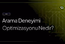 arama deneyimi optimizasyonu nedir