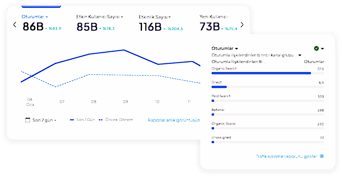 organik trafik kurumsal seo